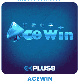 ACEWIN