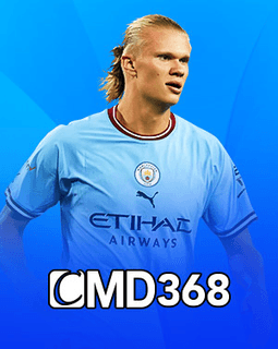 CMD368